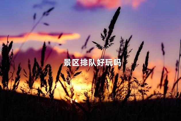 景区排队好玩吗