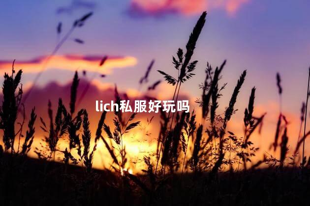 lich私服好玩吗