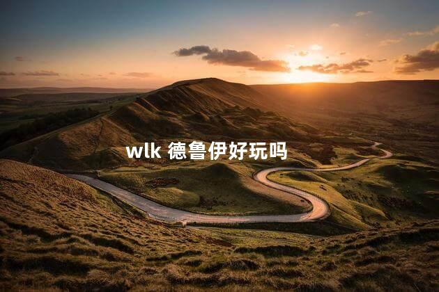 wlk 德鲁伊好玩吗