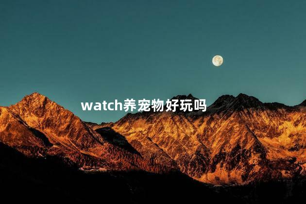 watch养宠物好玩吗