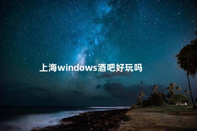 上海windows酒吧好玩吗