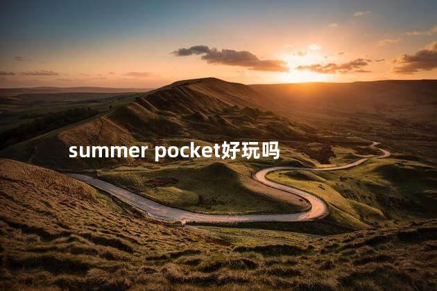 summer pocket好玩吗