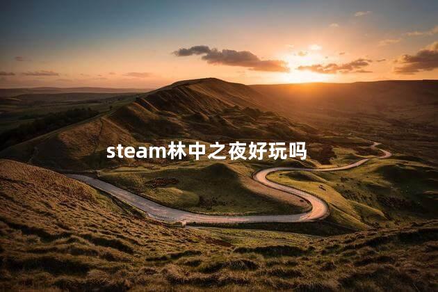 steam林中之夜好玩吗