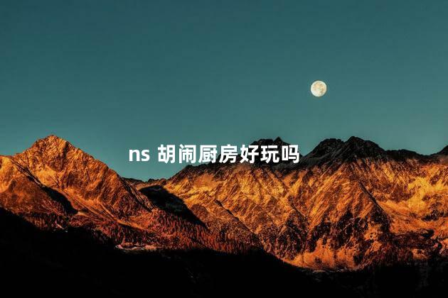 ns 胡闹厨房好玩吗