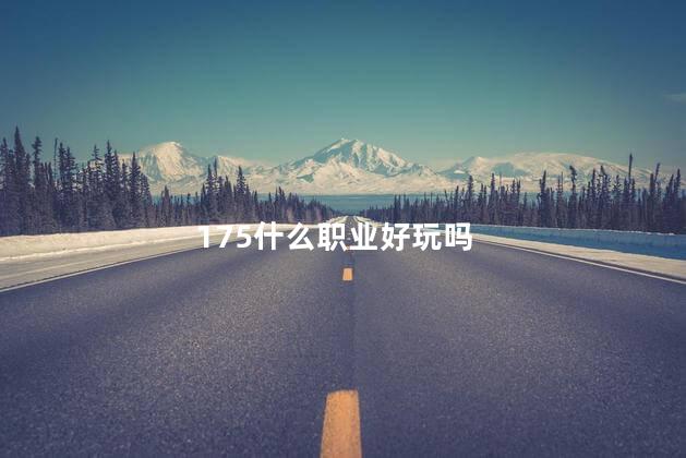 175什么职业好玩吗