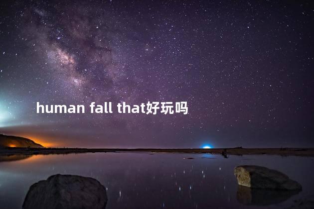 human fall that好玩吗