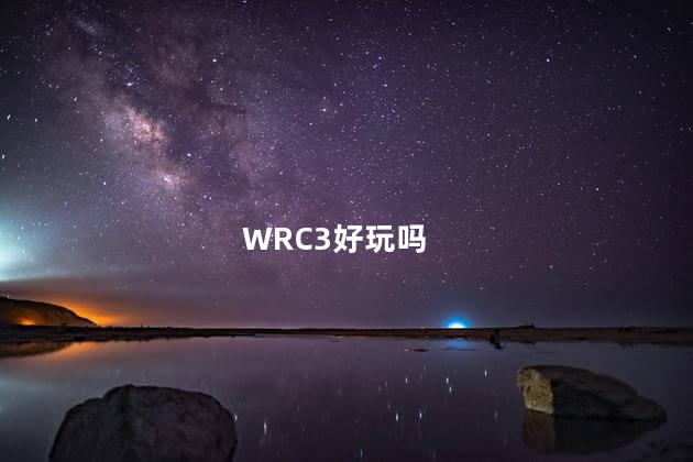 WRC3好玩吗