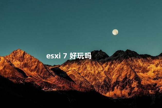 esxi 7 好玩吗