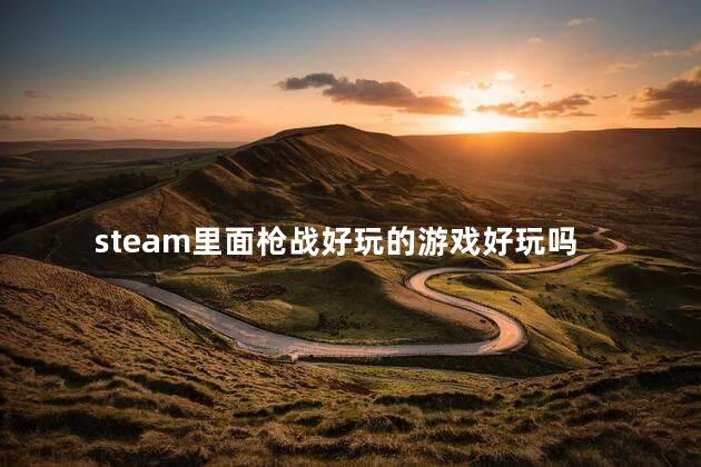 steam里面枪战好玩的游戏好玩吗