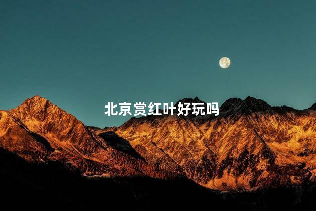 北京赏红叶好玩吗