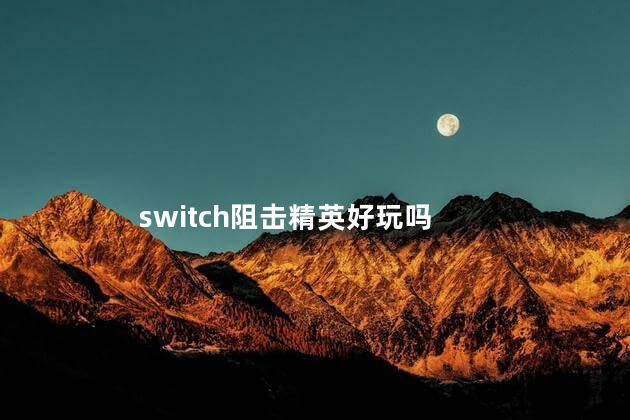 switch阻击精英好玩吗