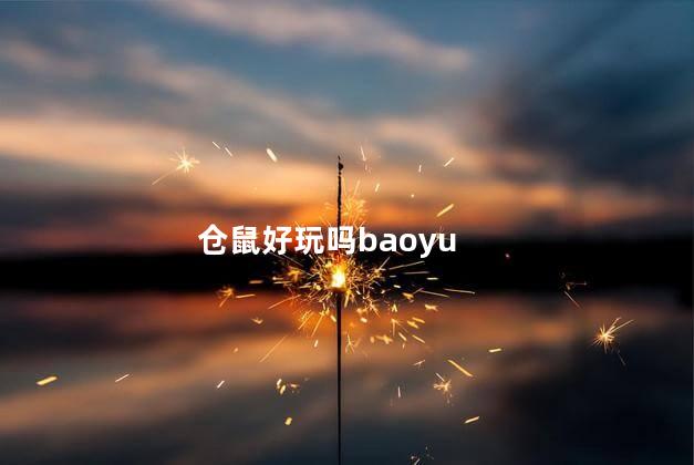 仓鼠好玩吗baoyu