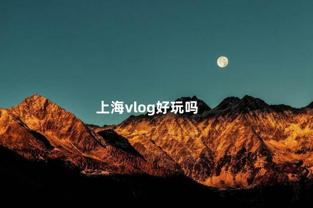 上海vlog好玩吗