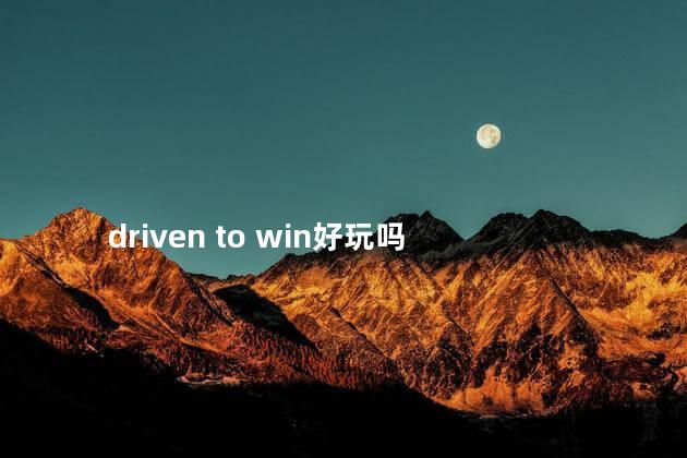 driven to win好玩吗