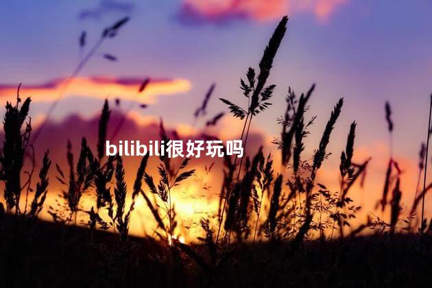 bilibili很好玩吗