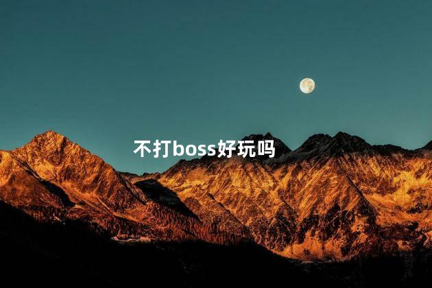 不打boss好玩吗