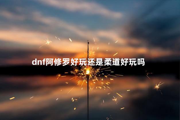 dnf阿修罗好玩还是柔道好玩吗