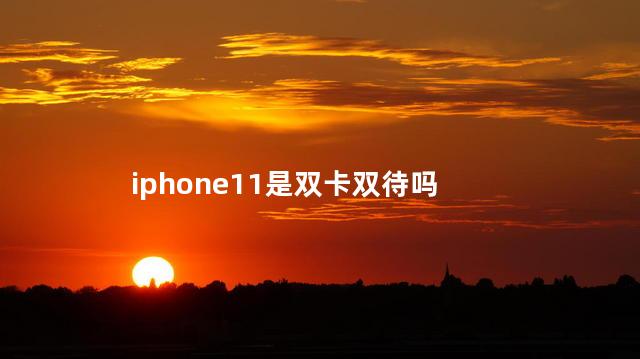 iphone11是双卡双待吗