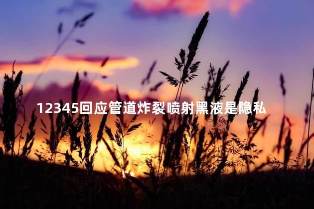 12345回应管道炸裂喷射黑液是隐私，管道炸裂喷射黑液是什么