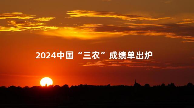 2024中国“三农”成绩单出炉