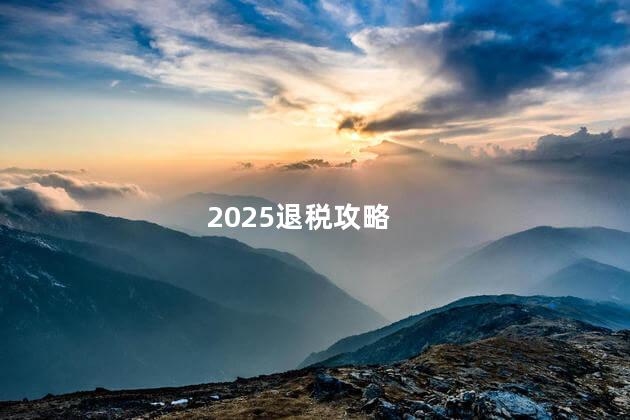 2025退税攻略