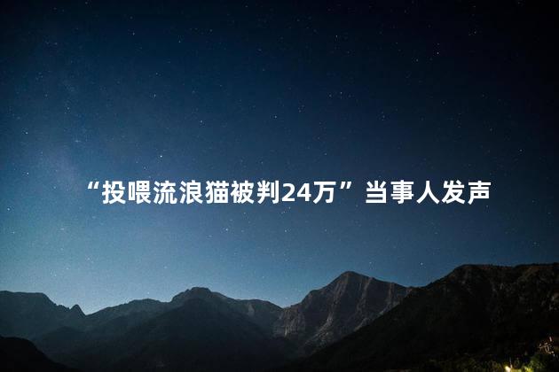 “投喂流浪猫被判24万”当事人发声