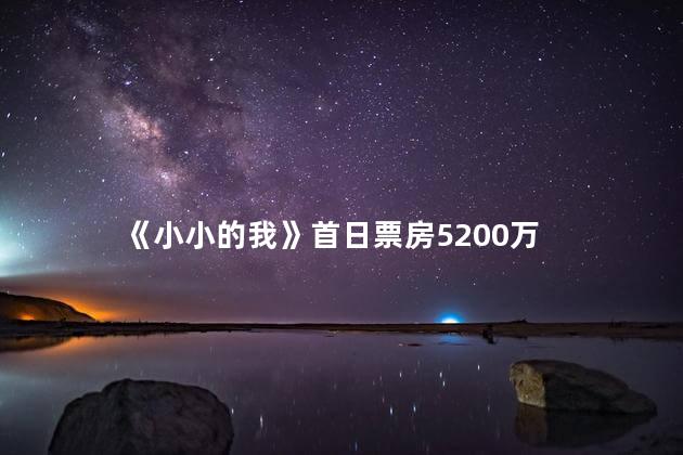 《小小的我》首日票房5200万