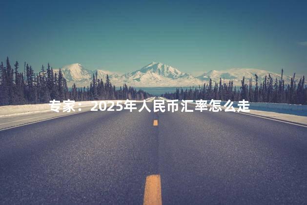 专家：2025年人民币汇率怎么走