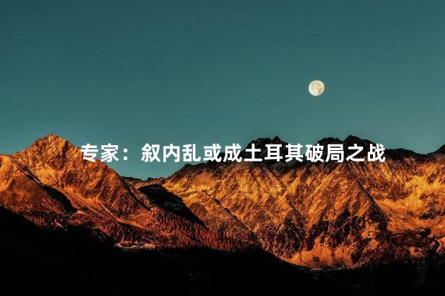 专家：叙内乱或成土耳其破局之战