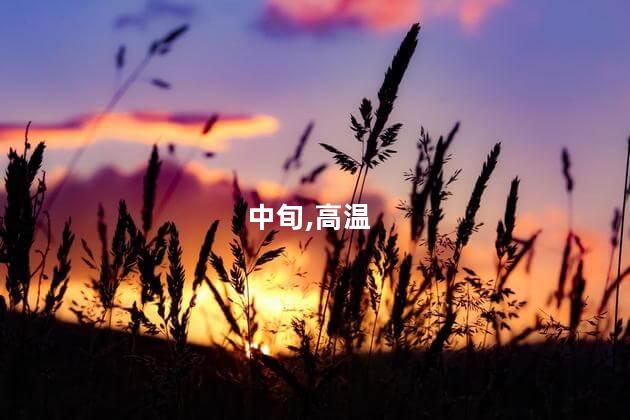 长三角高温8月中旬或可缓解