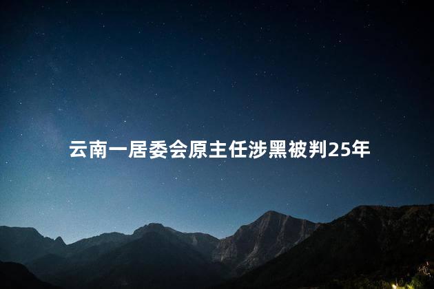 云南一居委会原主任涉黑被判25年