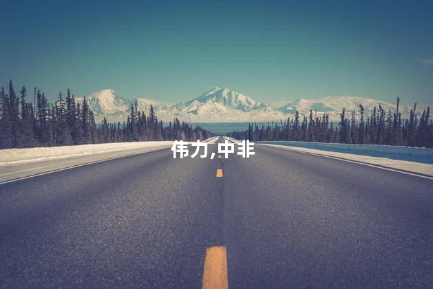 在现代化道路上汇聚中非合作伟力