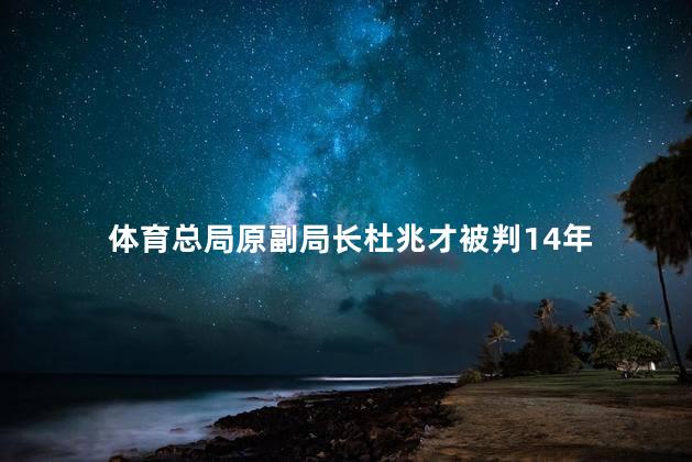 体育总局原副局长杜兆才被判14年