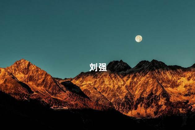 刘强东“狼性训话”流出