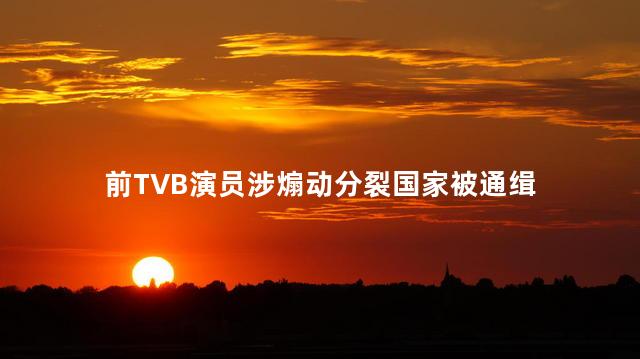 前TVB演员涉煽动分裂国家被通缉