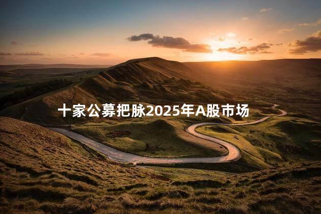 十家公募把脉2025年A股市场