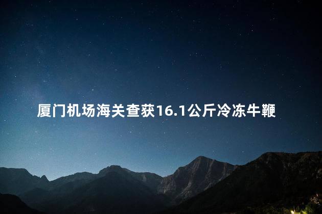 厦门机场海关查获16.1公斤冷冻牛鞭