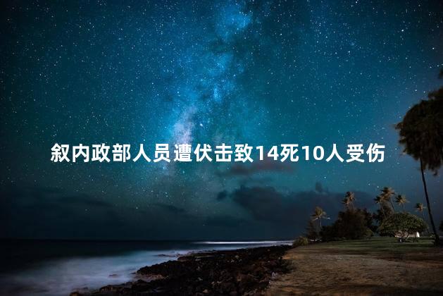 叙内政部人员遭伏击致14死10人受伤