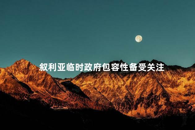 叙利亚临时政府包容性备受关注