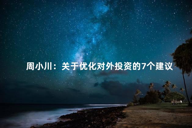 周小川：关于优化对外投资的7个建议