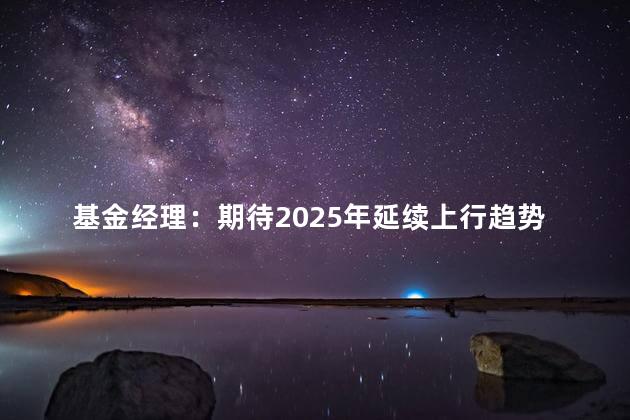 基金经理：期待2025年延续上行趋势