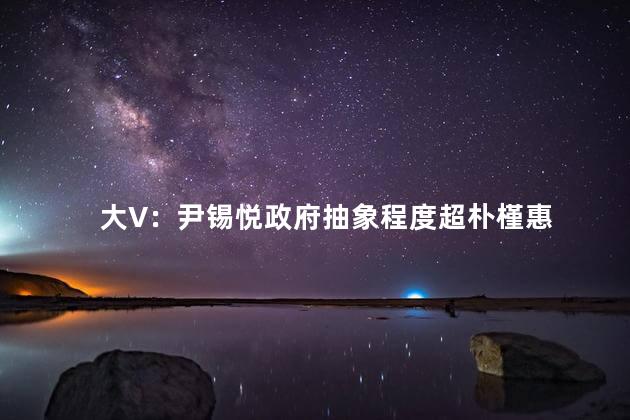 大V：尹锡悦政府抽象程度超朴槿惠