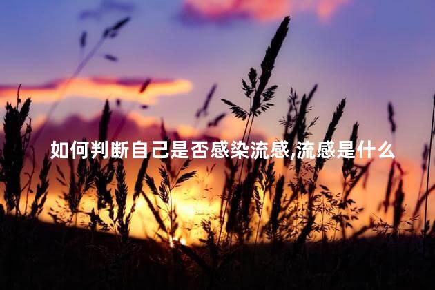 如何判断自己是否感染流感，流感是什么症状