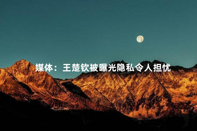 媒体：王楚钦被曝光隐私令人担忧