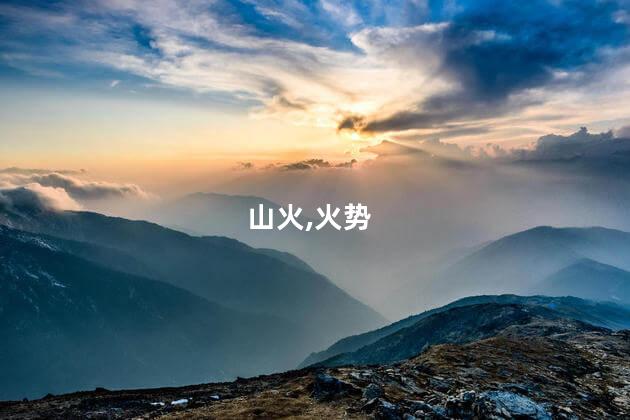 广东江门一地突发山火 火势已受控制