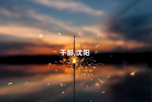 沈阳发布干部任前公示