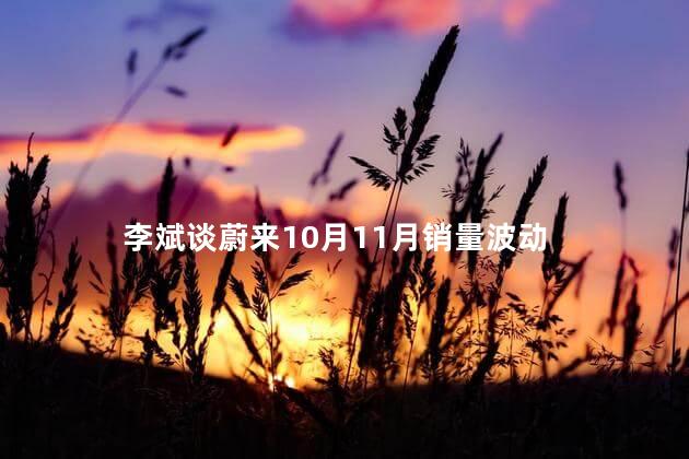 李斌谈蔚来10月11月销量波动