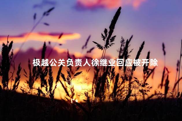 极越公关负责人徐继业回应被开除