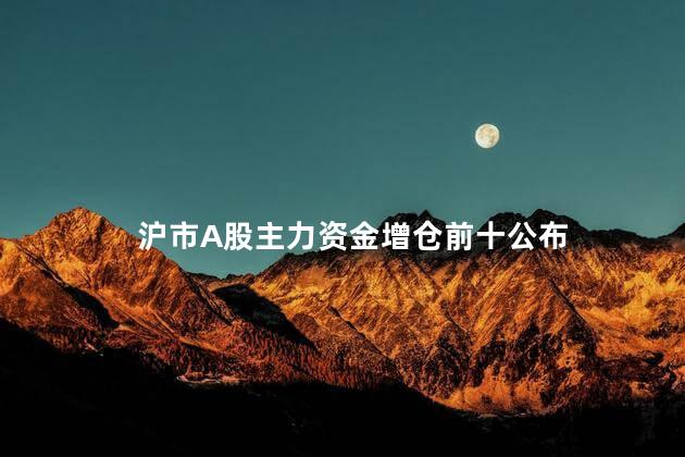 沪市A股主力资金增仓前十公布