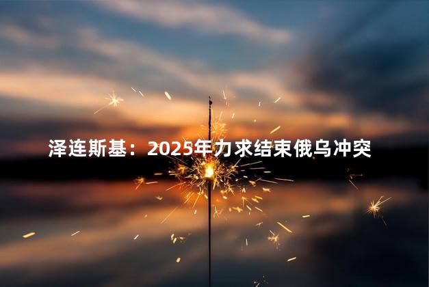 泽连斯基：2025年力求结束俄乌冲突